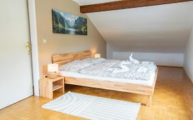 Lions Apartments - Erholung und Vergnügen in Bad Tatzmannsdorf